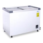 CH 300PR CONGELADOR POLAR TAPA DE CRISTAL ECONOMICA HELADOS CONGELADOS PALETAS PESCADO IMAGEN 01