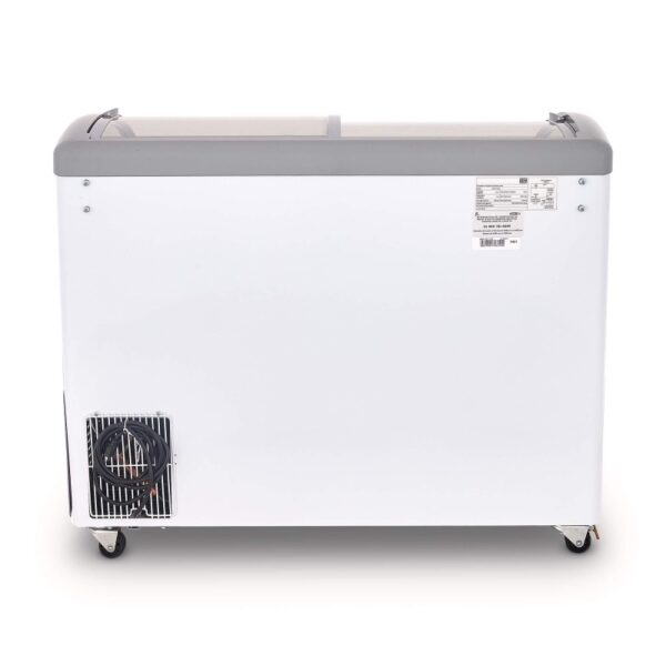 CHC 110CR CONGELADOR TORREY TAPA DE CRISTAL HELASOS PALETAS CONGELADOS PESCADO IMAGEN 02